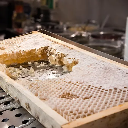 Hotel Rosslyn Thracia 4*