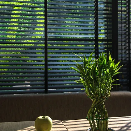 Hotel Rosslyn Thracia