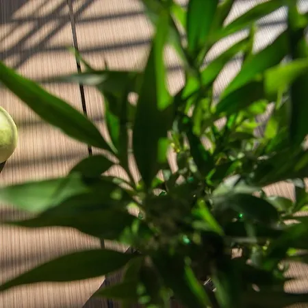 Rosslyn Thracia Ξενοδοχείο