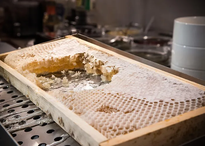 Хотел Rosslyn Thracia 4*