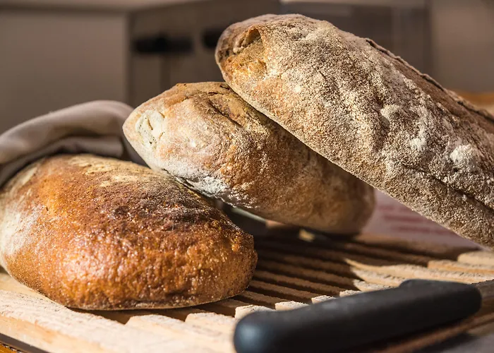 酒店 索非亚罗斯林拉西亚酒店 索菲亞